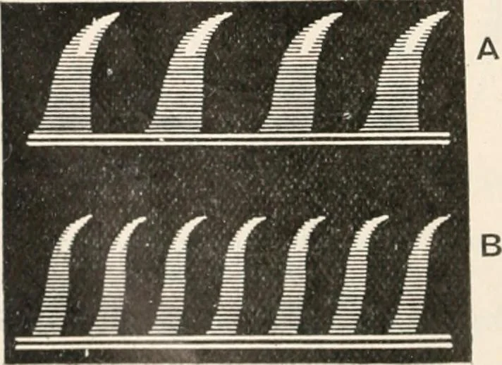 An illustration from A text book of physics, for the use of students of science and engineering, 1918, leaf 733