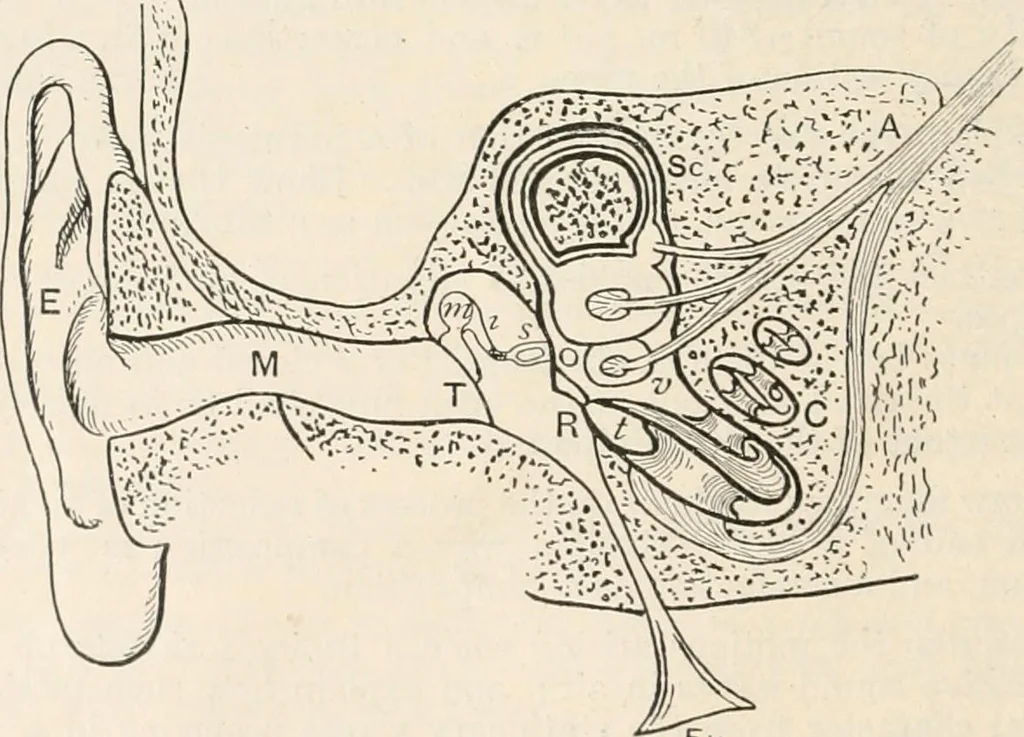 An illustration from A text book of physics, for the use of students of science and engineering, 1918, leaf 783