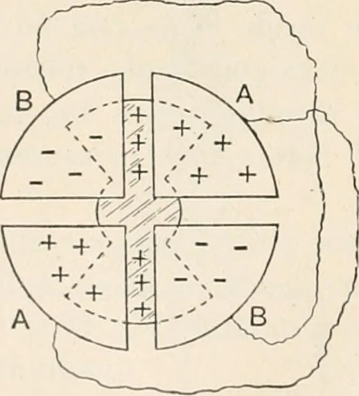 An illustration from A text book of physics, for the use of students of science and engineering, 1918, leaf 973