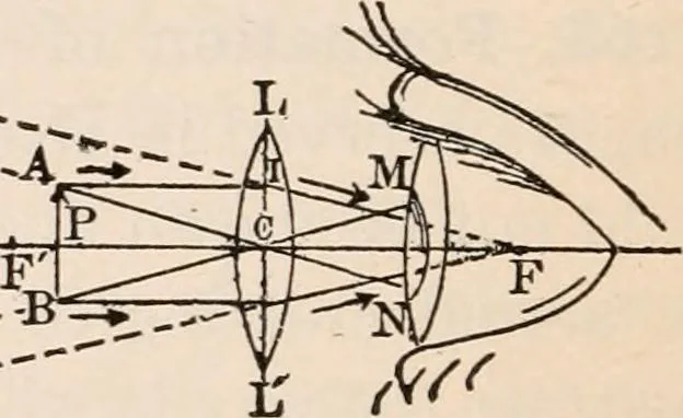 An illustration from A text-book of physics, largely experimental. On the Harvard college "Descriptive list of elementary physical experiments.", 1891, leaf 219