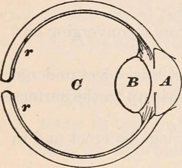 An illustration from A text-book of physics, largely experimental. On the Harvard college "Descriptive list of elementary physical experiments.", 1891, leaf 223