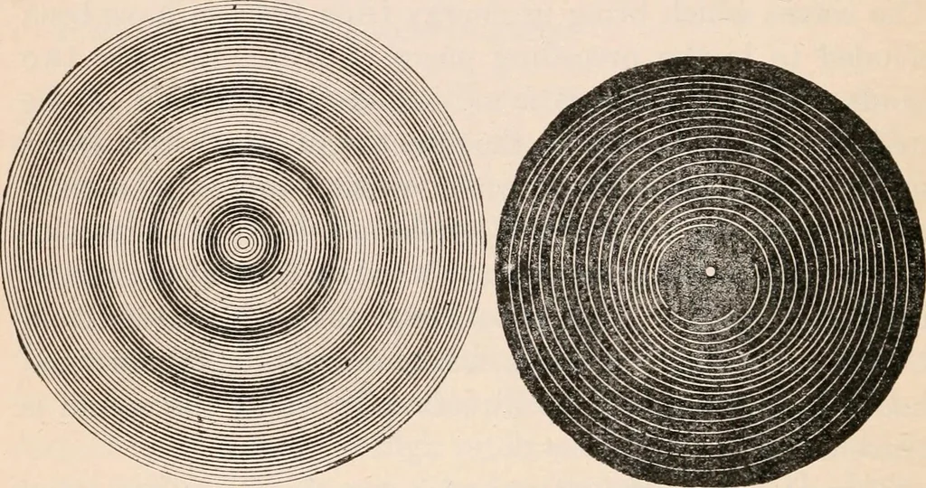 An illustration from A text-book of physics, largely experimental. On the Harvard college "Descriptive list of elementary physical experiments.", 1891, leaf 429