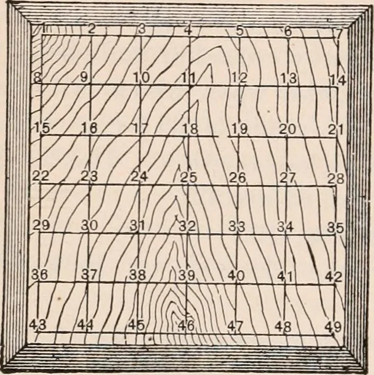An illustration from A text-book of physics, largely experimental. On the Harvard college "Descriptive list of elementary physical experiments.", 1891, leaf 569