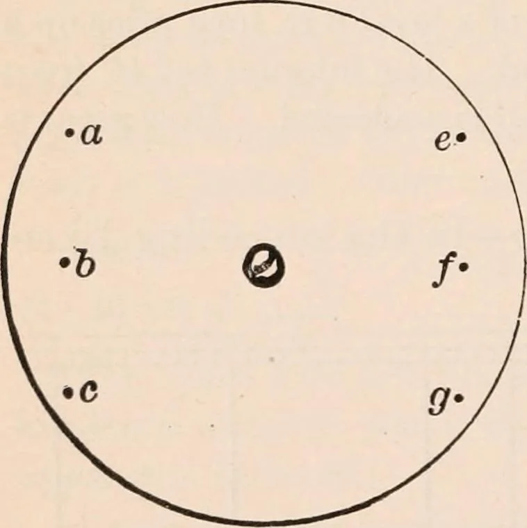 An illustration from A text-book of physics, largely experimental. On the Harvard college "Descriptive list of elementary physical experiments.", 1891, leaf 91