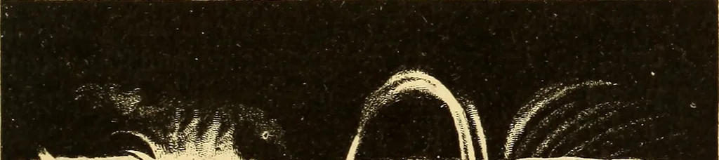 An illustration from Text-book of popular astronomy .., 1883, leaf 174