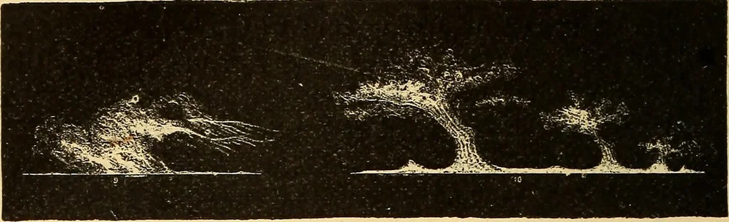 An illustration from Text-book of popular astronomy .., 1883, leaf 175