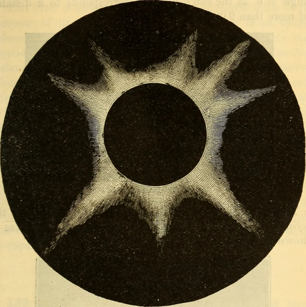 An illustration from Text-book of popular astronomy .., 1883, leaf 176