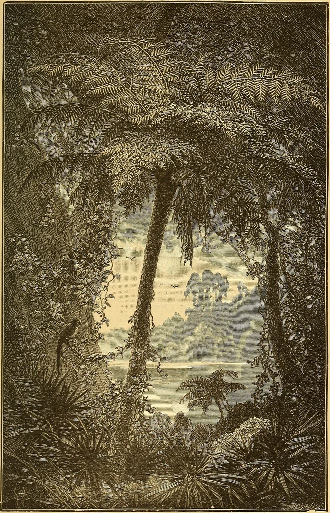An illustration from Text-book of popular astronomy .., 1883, leaf 368