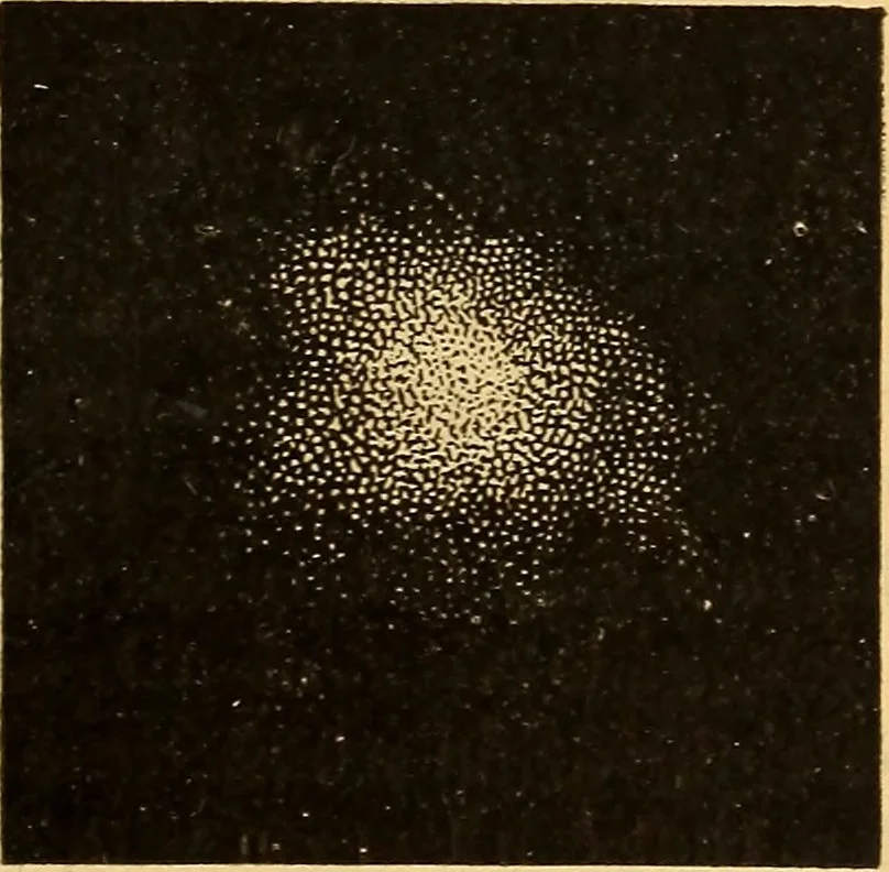 An illustration from Text-book of popular astronomy .., 1883, leaf 50