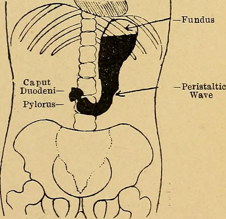 An illustration from A text-book of radiology, 1915, leaf 212