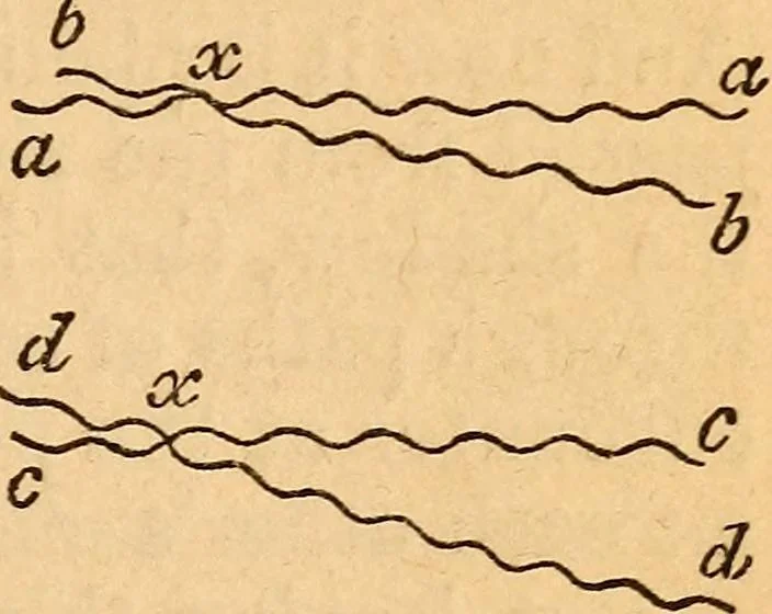 An illustration from A text-book on chemistry. For the use of schools and colleges, 1866, leaf 118