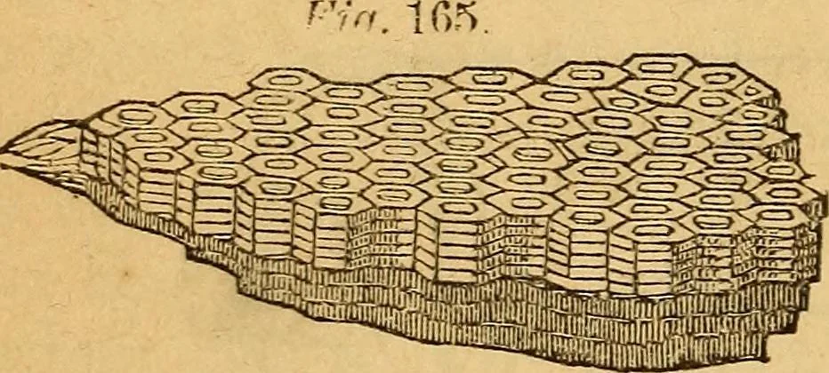 An illustration from A text-book on chemistry. For the use of schools and colleges, 1866, leaf 201