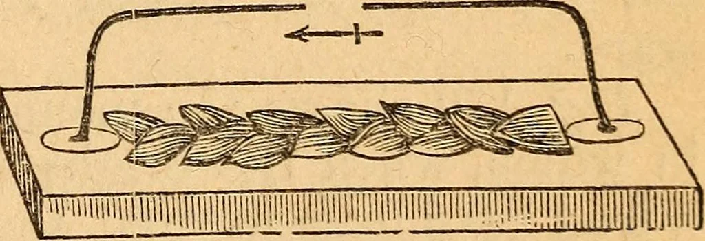 An illustration from A text-book on chemistry. For the use of schools and colleges, 1866, leaf 202