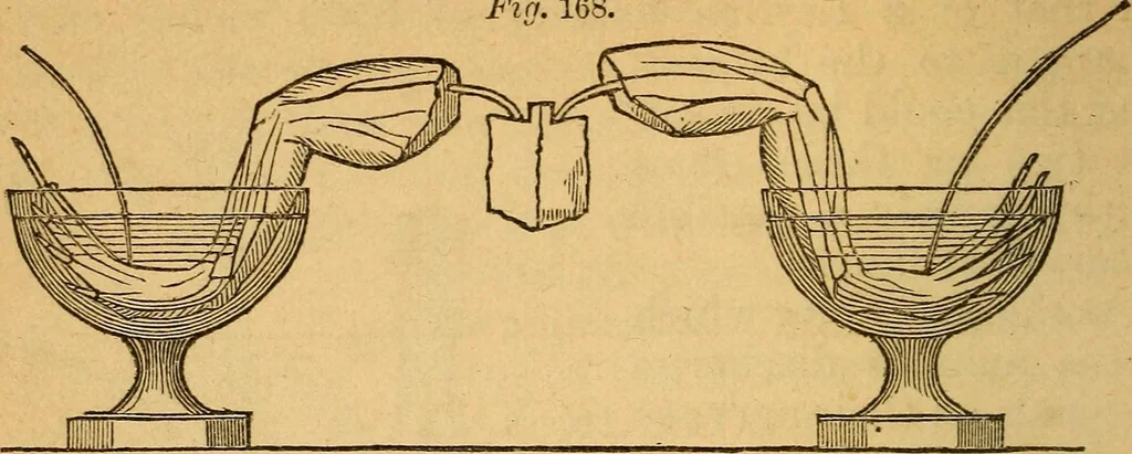An illustration from A text-book on chemistry. For the use of schools and colleges, 1866, leaf 203