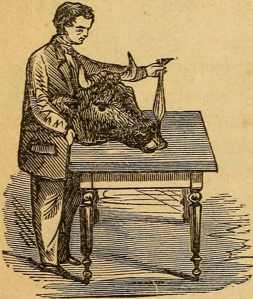 An illustration from A text-book on chemistry. For the use of schools and colleges, 1866, leaf 203
