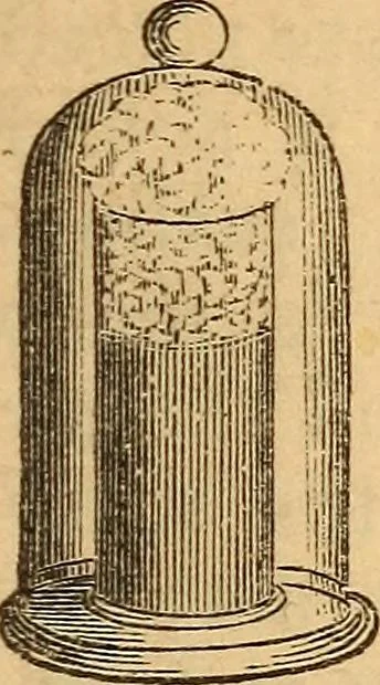 An illustration from A text-book on chemistry. For the use of schools and colleges, 1866, leaf 264