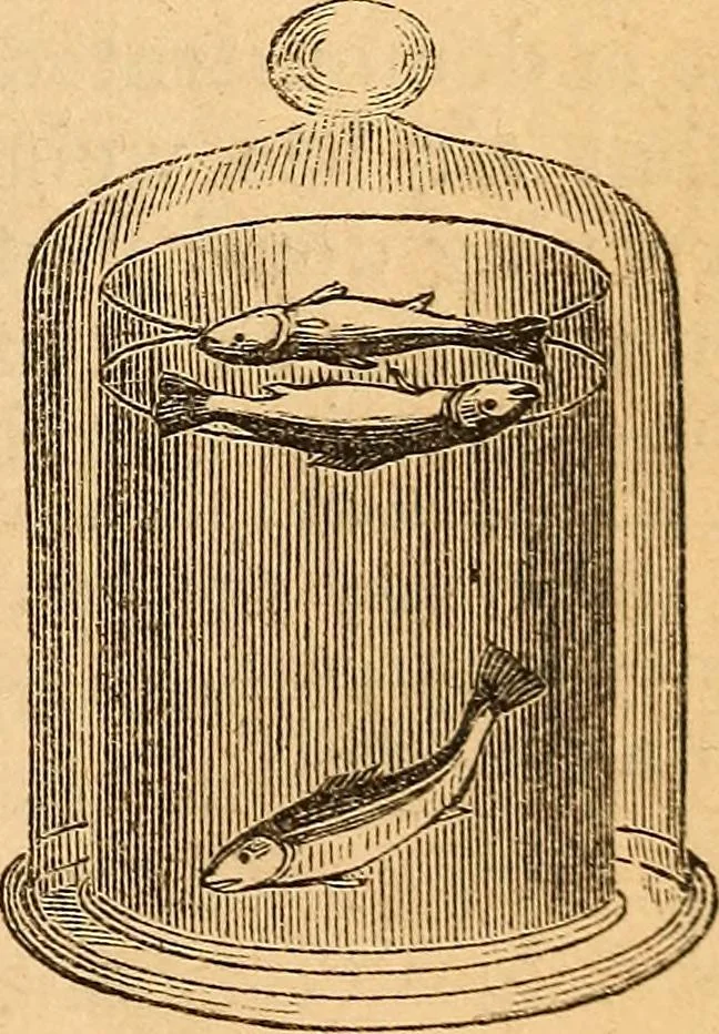 An illustration from A text-book on chemistry. For the use of schools and colleges, 1866, leaf 264