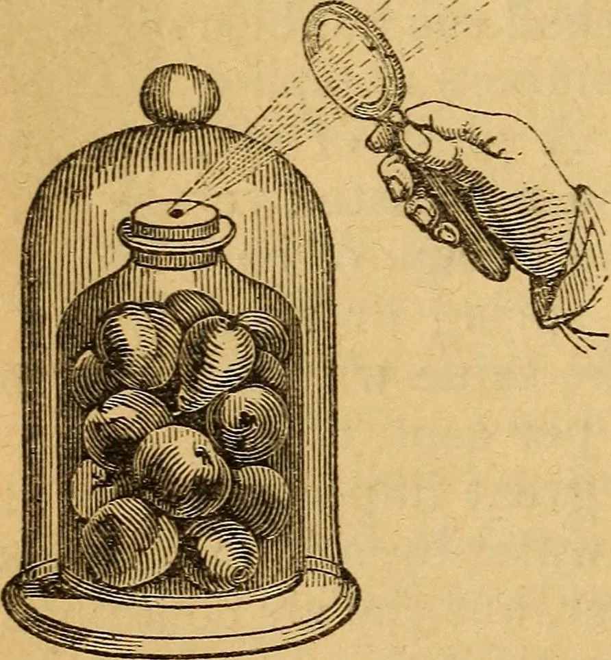 An illustration from A text-book on chemistry. For the use of schools and colleges, 1866, leaf 265
