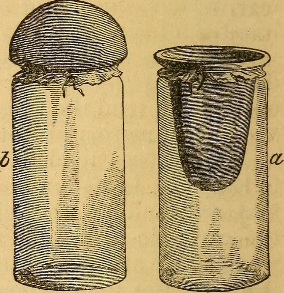 An illustration from A text-book on chemistry. For the use of schools and colleges, 1866, leaf 269