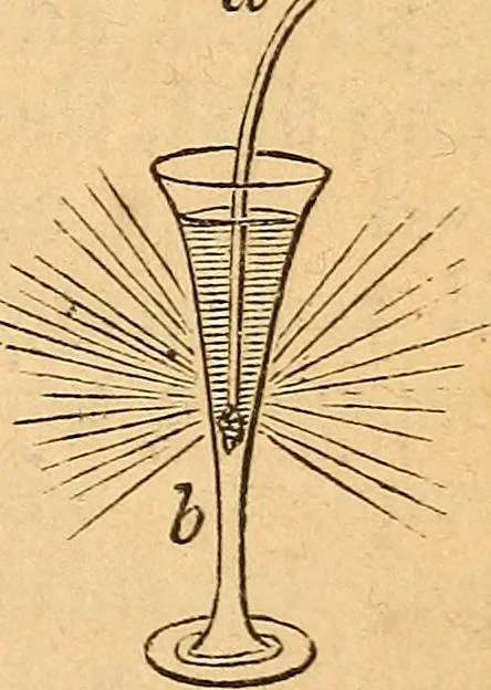 An illustration from A text-book on chemistry. For the use of schools and colleges, 1866, leaf 288