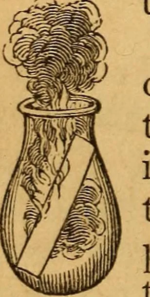 An illustration from A text-book on chemistry. For the use of schools and colleges, 1866, leaf 293