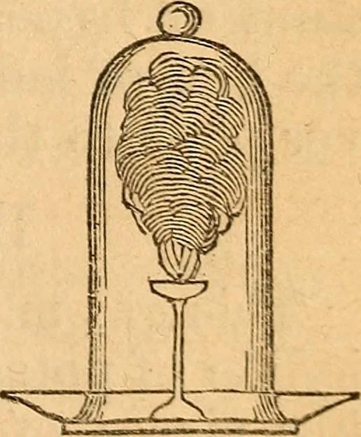 An illustration from A text-book on chemistry. For the use of schools and colleges, 1866, leaf 300