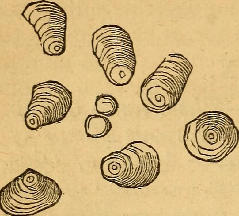 An illustration from A text-book on chemistry. For the use of schools and colleges, 1866, leaf 405