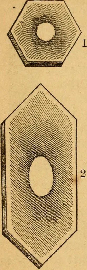 An illustration from A text-book on chemistry. For the use of schools and colleges, 1866, leaf 85