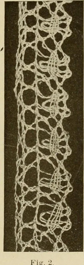 An illustration from A text book on Cluny and torchon laces, 1904, leaf 22