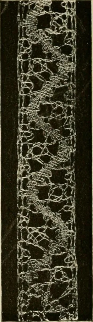 An illustration from A text book on Cluny and torchon laces, 1904, leaf 33