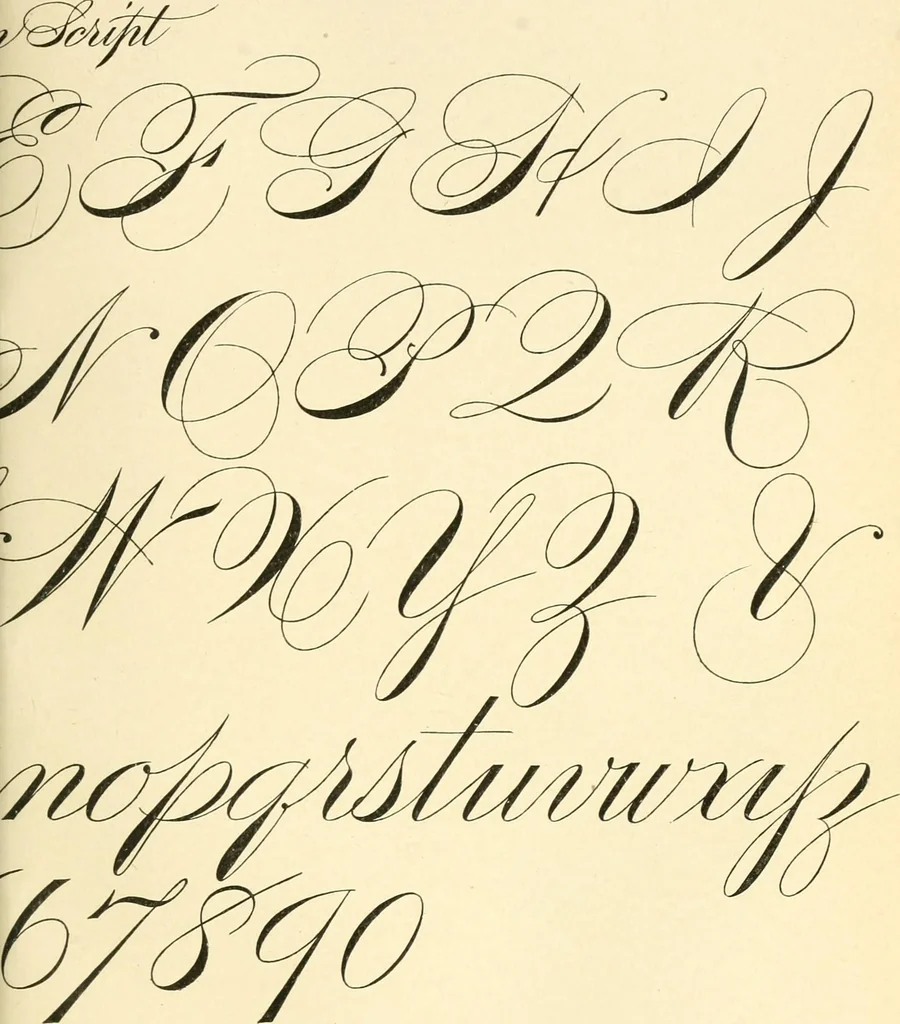 An illustration from A textbook on lettering and sign painting, 1902, leaf 266