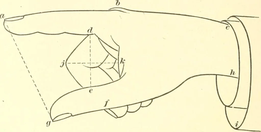 An illustration from A textbook on lettering and sign painting, 1902, leaf 347