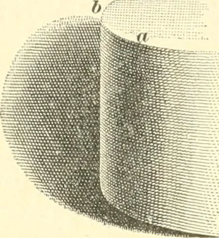 An illustration from A textbook on lettering and sign painting, 1902, leaf 51