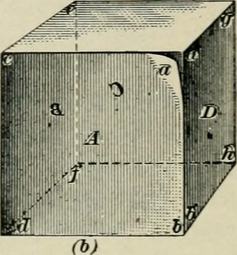 An illustration from A textbook on mechanical and electrical engineering, 1902, leaf 389