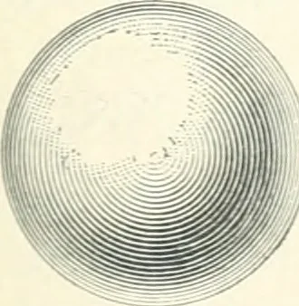 An illustration from A textbook on mechanical and electrical engineering, 1898, leaf 312