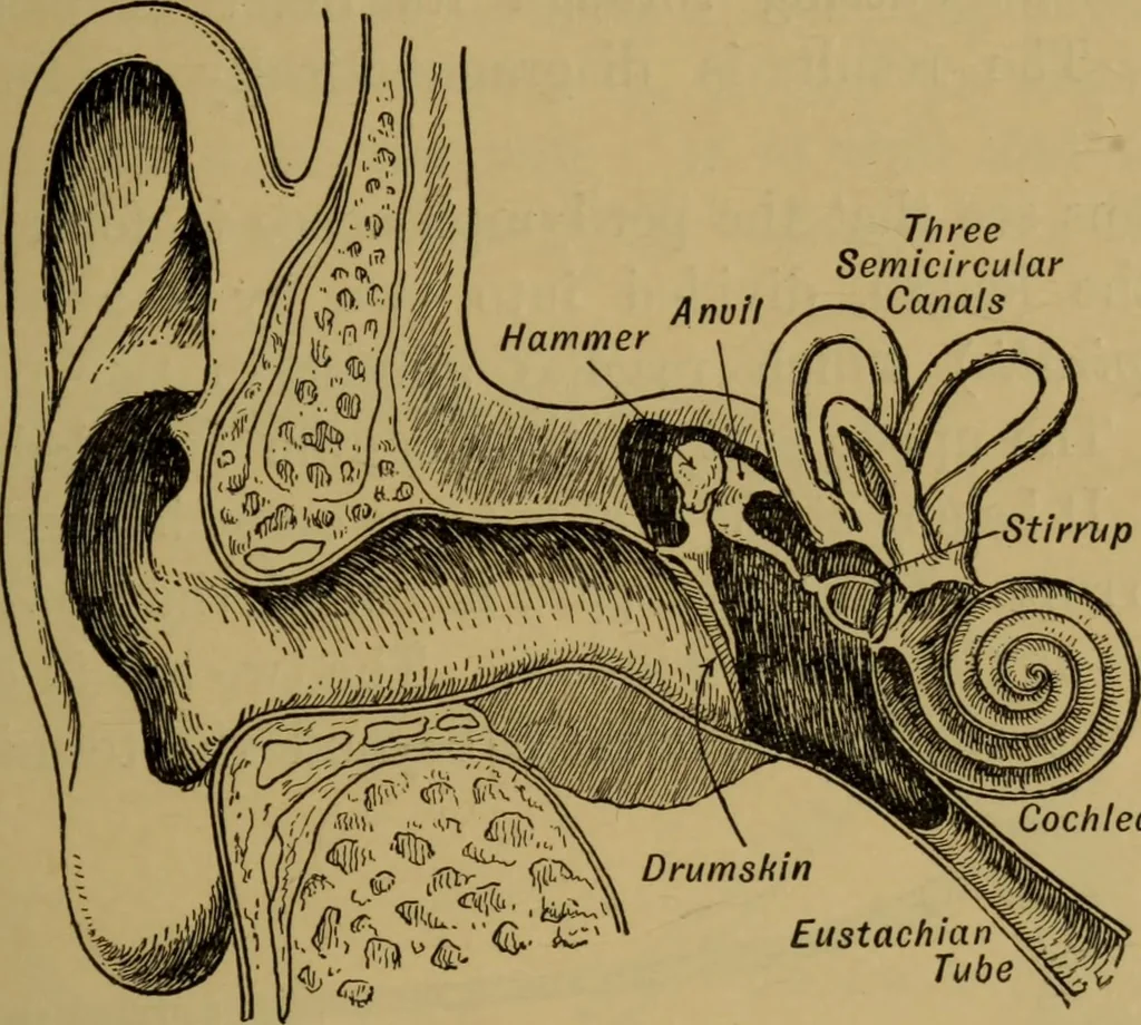 An illustration from A text-book on sound, 1908, leaf 356