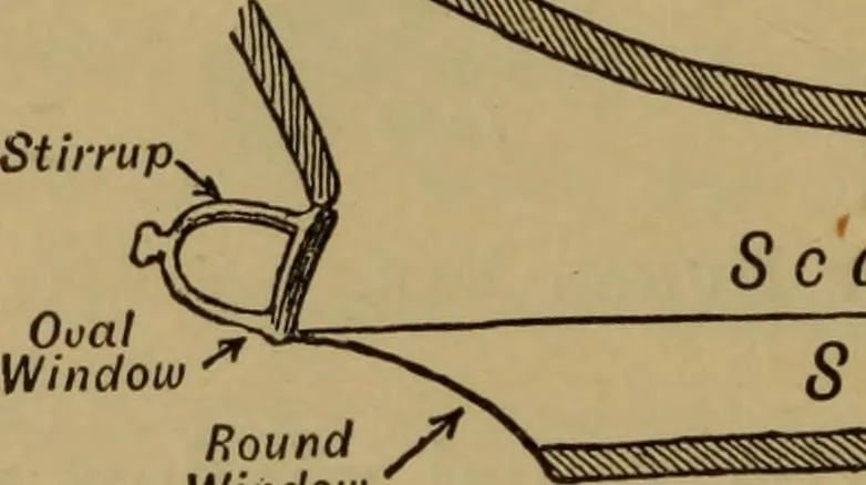 An illustration from A text-book on sound, 1908, leaf 357