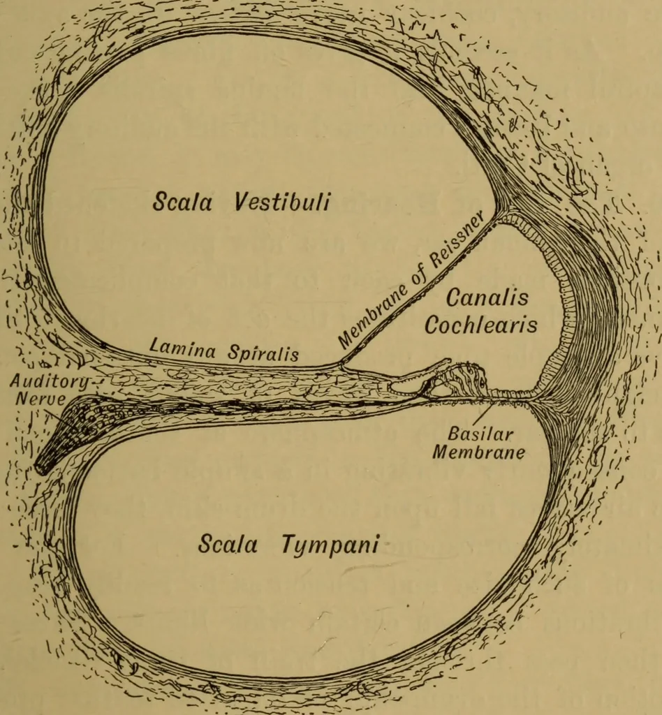 An illustration from A text-book on sound, 1908, leaf 358