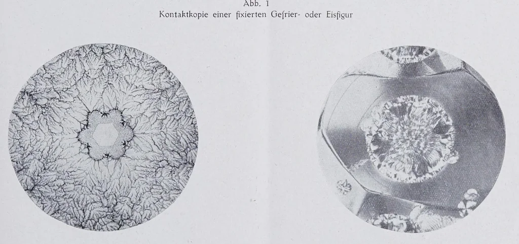 An illustration from Textilberichte über Wissenschaft, Industrie und Handel, 1920, leaf 263