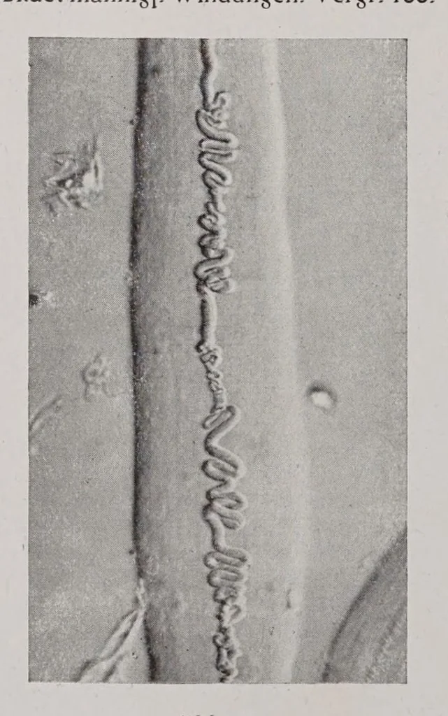 An illustration from Textilberichte über Wissenschaft, Industrie und Handel, 1920, leaf 174
