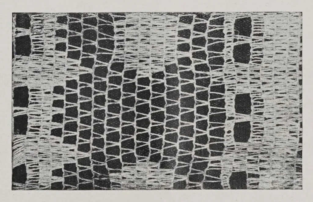 An illustration from Textilberichte über Wissenschaft, Industrie und Handel, 1920, leaf 121