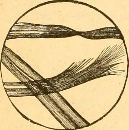 An illustration from Textile calculations: being a guide to calculations relating to the construction of all kinds of yarns and fabrics, 1896, leaf 103