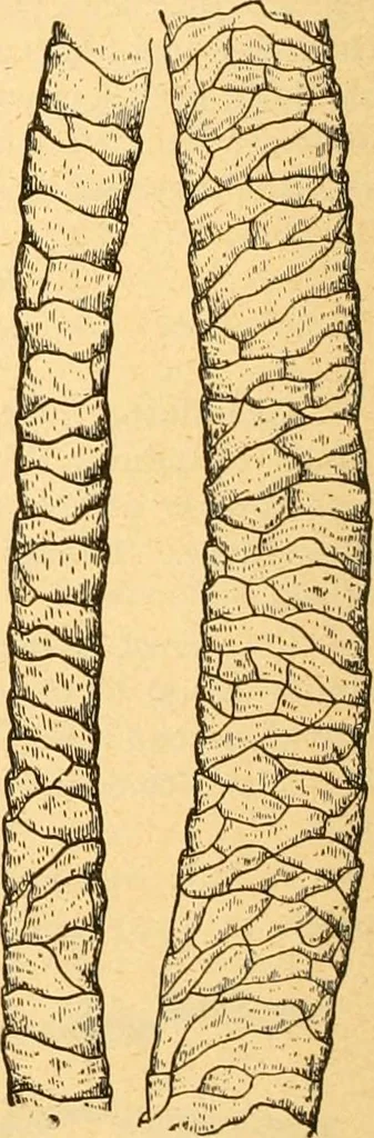 An illustration from Textile calculations: being a guide to calculations relating to the construction of all kinds of yarns and fabrics, 1896, leaf 103