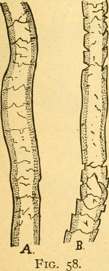 An illustration from Textile calculations: being a guide to calculations relating to the construction of all kinds of yarns and fabrics, 1896, leaf 104