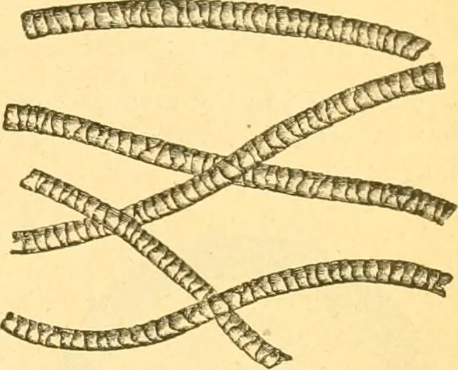 An illustration from Textile calculations: being a guide to calculations relating to the construction of all kinds of yarns and fabrics, 1896, leaf 106