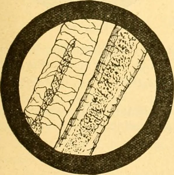An illustration from Textile calculations: being a guide to calculations relating to the construction of all kinds of yarns and fabrics, 1896, leaf 106