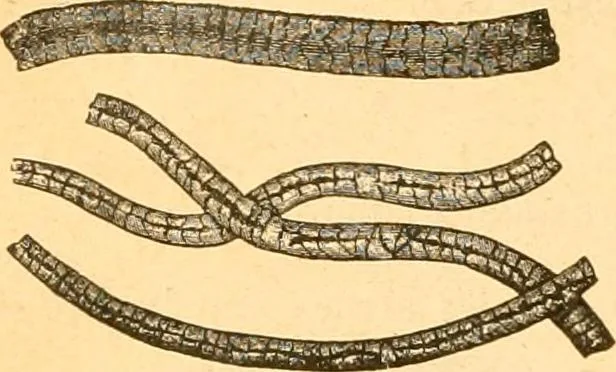 An illustration from Textile calculations: being a guide to calculations relating to the construction of all kinds of yarns and fabrics, 1896, leaf 107