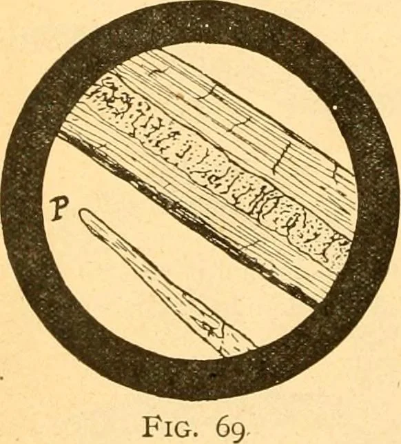 An illustration from Textile calculations: being a guide to calculations relating to the construction of all kinds of yarns and fabrics, 1896, leaf 107