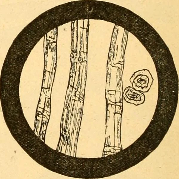 An illustration from Textile calculations: being a guide to calculations relating to the construction of all kinds of yarns and fabrics, 1896, leaf 107
