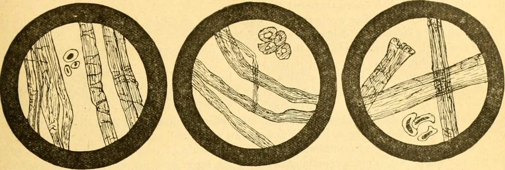 An illustration from Textile calculations: being a guide to calculations relating to the construction of all kinds of yarns and fabrics, 1896, leaf 108